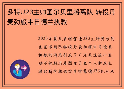 多特U23主帅图尔贝里将离队 转投丹麦劲旅中日德兰执教